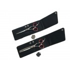 Scharen Set
